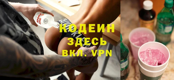 прущие грибы Арсеньев