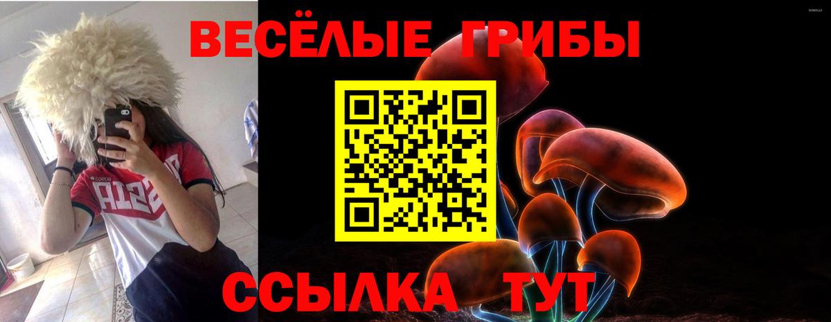 Псилоцибиновые грибы GOLDEN TEACHER  Вход с VPN  Белорецк 