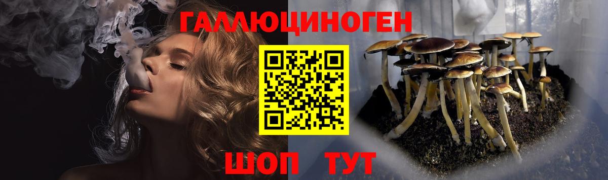 Галлюциногенные грибы прущие грибы Белорецк